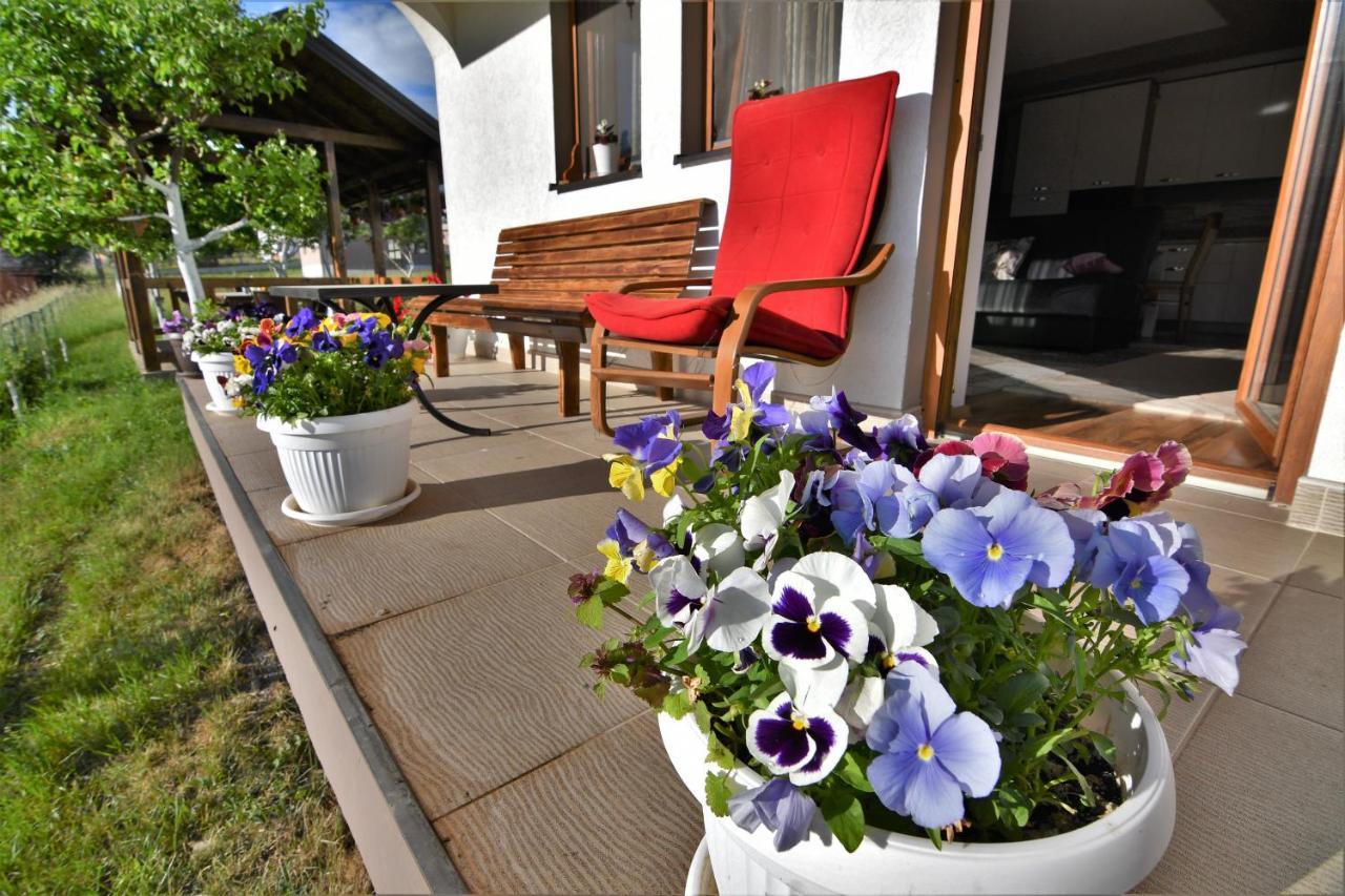 Guest House Blue Views Plav Zewnętrze zdjęcie